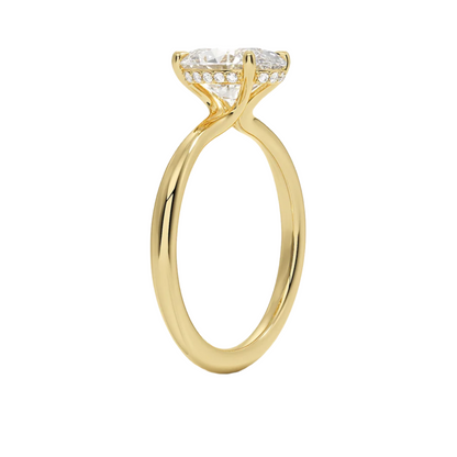 The Chica Ring Collection